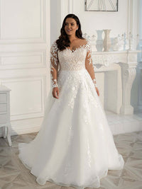 Plus Size Long Sleeve A-Line Wedding Dress Illusion Lace Tulle Bridal Gown 2025 Ms2506012