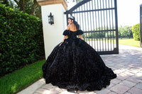 Abiti Quinceanera con Spalline Sottili, Gonne a Palloncino con Pizzo a Farfalla e Perline, Tulle Scintillante, Abiti Sweet 16