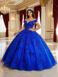 Damen Quinceanera-Kleid mit Herzausschnitt, Ballkleid, Spaghettiträger, Spitzenapplikationen, Sweet 16-Kleider für Teenager