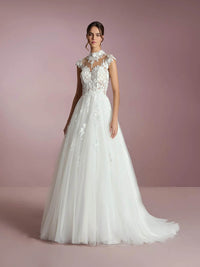 Lace Wedding Dresses Illusion Appliques Open Back Tulle Bridal Dress Ms2509253
