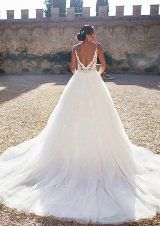 Lace V Neck Wedding Dress Ball Gown Glitter Tulle Backless Bridal Gown Ms260319101