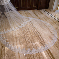 Wedding Veil Lace Applique Edge Long Luxurious Bridal Veil Accessories Ms2603303