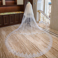 Wedding Veil Lace Applique Edge Long Luxurious Bridal Veil Accessories Ms2603303