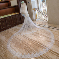 Wedding Veil Lace Applique Edge Long Luxurious Bridal Veil Accessories Ms2603303