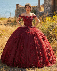 Robe de Quinceanera en forme de cœur pour femme, robe de bal, bretelles spaghetti, dentelle, appliques, robes Sweet 16 pour adolescentes