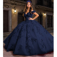 Damen Quinceanera-Kleid mit Herzausschnitt, Ballkleid, Spaghettiträger, Spitzenapplikationen, Sweet 16-Kleider für Teenager