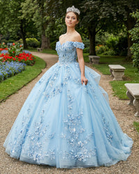 Damen Quinceanera-Kleid mit Herzausschnitt, Ballkleid, Spaghettiträger, Spitzenapplikationen, Sweet 16-Kleider für Teenager