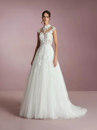 Lace Wedding Dresses Illusion Appliques Open Back Tulle Bridal Dress Ms2509253