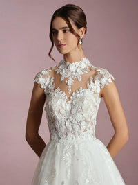 Lace Wedding Dresses Illusion Appliques Open Back Tulle Bridal Dress Ms2509253