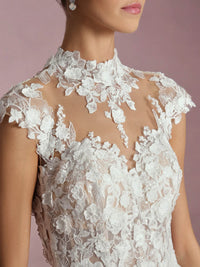Lace Wedding Dresses Illusion Appliques Open Back Tulle Bridal Dress Ms2509253