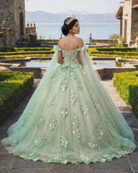 Sage Green Quinceanera Dress Floral Lace Appliques Ball Gown Off Shoulder Corset Tulle Party Gown Ms26055096