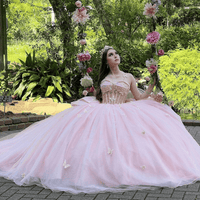 Sweet 16 Dress Quinceanera Dress Ball Gown Tulle Sparkly Princess Birthday Dress Ms2605011