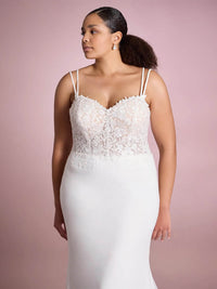 Spaghetti Strap Mermaid Wedding Dresses with Lace Appliques Ms2509253