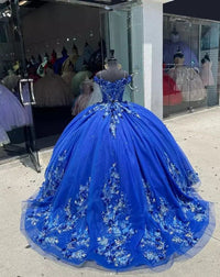 Damen Quinceanera-Kleid mit Herzausschnitt, Ballkleid, Spaghettiträger, Spitzenapplikationen, Sweet 16-Kleider für Teenager