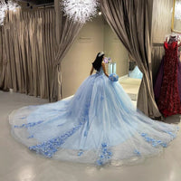 Sky Blue Quinceanera Dress Strapless Floral Ball Gown Princess Tulle Birthday Dress Ms2605204
