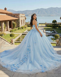 Sky Blue Quinceanera Dress Strapless Floral Ball Gown Princess Tulle Birthday Dress Ms2605204